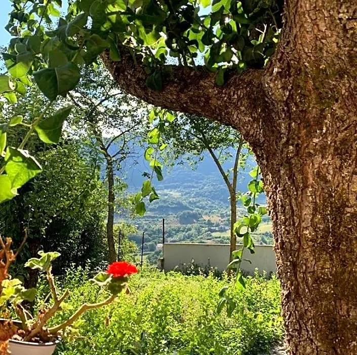 B&B Al San Francesco-1